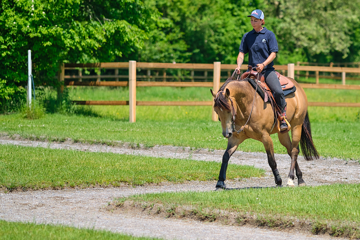 Lea Hatze im Training mit einem Pferd